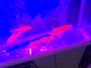 森森（SUNSUN）魚缸過濾器外置水族箱過濾桶 HW302+1kg濾材(適合0.6-1米的魚缸) 曬單實(shí)拍圖