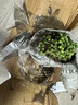 多肉植物佛珠吊蘭盆栽垂吊紫玄月 吊蘭 特大 紫玄月多肉 佛珠多肉 佛珠（約16株） 曬單實(shí)拍圖