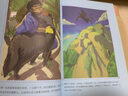 小戰馬 中小學(xué)課外閱讀  無(wú)障礙閱讀 智慧熊圖書(shū)  曬單實(shí)拍圖