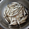 小柒家蠅 毒蚊飛蠅鉤路亞假餌白條馬口溪哥小翹嘴微物小魚手工精綁毛鉤子線組熒光若蟲鉤魚鉤仿生路亞餌 16號五混色（10枚）送助投器 曬單實拍圖