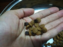 貝肯奇雙拼狗糧成犬幼犬20斤金毛泰迪拉布拉多柯基犬哈士奇專用牛肉糧 20kg 卡斯羅斯塔福專用 曬單實(shí)拍圖