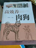 高效養(yǎng)肉狗 李順才 高效養(yǎng)肉狗 養(yǎng)狗書籍養(yǎng)狗技術(shù)大全 肉狗高效養(yǎng)殖技術(shù)飼養(yǎng)管理書籍 肉狗疾病防治書籍 曬單實(shí)拍圖