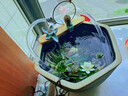 森森（SUNSUN）HW-603系列604過(guò)濾桶小魚(yú)缸水族箱微型缸外過(guò)濾器過(guò)濾桶602 HW602自配全套14W水泵（適合圓形魚(yú)缸） 曬單實(shí)拍圖