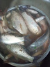 【爭這吃】釣王推薦釣魚餌料鯽魚餌料通用野釣黑坑魚餌魚食魚飼料 綠魔餌魚餌60g*3袋 曬單實(shí)拍圖
