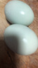 鄱湖鴨舍中秋節(jié)禮盒送禮咸鴨蛋流油真空獨(dú)立包裝鹽蛋流油熟咸鴨蛋黃咸蛋黃 加大20枚*60-70g【店長(zhǎng)推薦】 曬單實(shí)拍圖