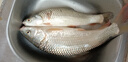 南北 釣具NS草青王魚(yú)餌釣魚(yú)餌料野釣配方鯽魚(yú)拉絲粉打窩料鯉魚(yú)青魚(yú) 新版二代草（400g） 曬單實(shí)拍圖