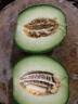 玫梔 海南玫瓏蜜瓜網(wǎng)紋蜜瓜新鮮水果當季玲瓏冰淇淋奶香梅隴甜瓜順豐  禮盒（5-6）個(gè)裝（11-12斤） 曬單實(shí)拍圖