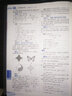 2025秋薛金星中學(xué)教材全解八年級上冊下冊語文數(shù)學(xué)英語物理政治歷史生物地理初二全套課本教輔導(dǎo)資料 上冊數(shù)學(xué) 人教版 曬單實拍圖