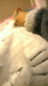 弘茵美男士睡衣冬季珊瑚绒加厚加绒卡通青少年冬天保暖男家居服学生套装 B8818汤姆猫（加厚款） 标准XXL(高175-182 150-175斤) 实拍图