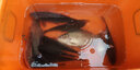 三友創(chuàng  )美餌料蚯蚓鯽腥香鯽魚(yú)濃腥野釣鯽魚(yú)鯉魚(yú)四季通殺通用垂釣餌 蚯蚓鯽（腥香）300gx5袋 曬單實(shí)拍圖