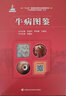 牛病圖鑒 牛養(yǎng)殖技術書籍 牛病診斷與防治 養(yǎng)牛技術書籍 牛高效養(yǎng)殖關鍵技術入門書籍 牛病診療圖譜獸醫(yī)手冊 養(yǎng)牛書籍 牛病診斷速查圖譜 牛病用藥指南 牛瘟牛疫防治手冊 曬單實拍圖