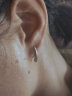 范米粒范米粒 925银针耳钉生如夏花长款耳环简约气质设计感网红耳饰送礼 ED600-1 水滴耳钩 实拍图