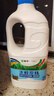 蒙牛自然風味酸奶1.1kg 水果撈用原味酸奶 大桶裝 原味酸奶*1桶(保溫箱+冰袋) 曬單實拍圖