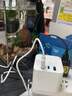 云峰海瑞定植水草 真活體水草植物 魚缸水族箱造景小魚箱裝飾造景 小水榕定植水草3份 曬單實拍圖