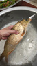 小鳳仙魚漂套裝組合全套高靈敏加粗醒目浮漂野釣鯽鯉魚漂多水域漂盒專用 3支裝【野釣綜合套裝】+黑色漂盒 一套漂+高質(zhì)量ABS漂盒 曬單實拍圖