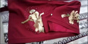 恒源祥春夏季中老年女裝胖媽媽結(jié)婚宴禮服外套裝褲子上衣服喜服婆婆高貴 酒紅色喜慶三件套 4XL 135-155斤 曬單實(shí)拍圖