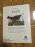美洲鳥(niǎo)類(lèi) 博物館典藏版（異步圖書(shū)出品） 曬單實(shí)拍圖