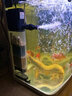 云峰海瑞魚缸過(guò)濾器內(nèi)置三合一水族箱凈水器低水位烏龜缸過(guò)濾器增養(yǎng)泵 四接過(guò)濾器 曬單實(shí)拍圖