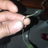 新苗特價(jià)球蘭盆栽球蘭花苗小苗 球形花卉 球蘭花室內爬藤花卉盆栽 18號紫羅蘭 不含盆 曬單實(shí)拍圖