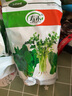 壽禾 20天雞毛菜種子四季小青菜秋冬季蔬菜小白菜油菜上海青陽(yáng)臺菜籽 雞毛菜種子500g裝 曬單實(shí)拍圖