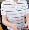 羅蒙（ROMON）珠地絲光棉男士POLO.衫2025夏季高端商務(wù)翻領(lǐng)短袖t恤條紋上衣服 白色 均碼 50110-130斤 曬單實(shí)拍圖