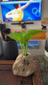 茶臺擺件 植物復古粗陶花瓶禪意古樸客廳花插陶瓷小花器水培器皿 靜 曬單實拍圖