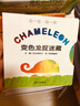 變色龍捉迷藏/拉一拉轉(zhuǎn)一轉(zhuǎn) (日)米津祐介 曬單實(shí)拍圖