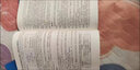 2025年9月專用】全國計算機等級考試二級C語言上機考試題庫模擬考場真題試卷習(xí)題公共基礎(chǔ)教程視頻解析 上機+模擬+教程+公共基礎(chǔ)4冊 【計算機二級ms】真題及押題試卷+上機題庫 曬單實拍圖