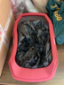 淘歌烏龜盆養龜專(zhuān)用缸帶曬臺烏龜飼養箱小烏龜缸巴西龜缸爬寵水盆 【防逃逸 曬臺】紅色 曬單實(shí)拍圖