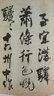 中國書法經(jīng)典·王鐸贈湯若望詩冊 曬單實拍圖
