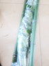 旭力圍墻籬笆植物大葉北海道黃楊苗冬青樹(shù)苗四季常青耐寒庭院綠籬樹(shù)苗 北海道冬青2.8-2.9米高 10cm(含)-19cm(含) 曬單實(shí)拍圖