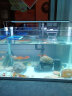 森森（SUNSUN）鱼缸小型水族箱热弯超白玻璃生态金鱼缸办公桌水草缸 长50cm热弯超白缸+灯+过滤器 实拍图