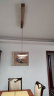 Paulmann P德国柏曼国王湖餐厅吊灯北欧风智能护眼灯现代简约客厅吧台餐桌灯 [镜光银]推荐1-1.3m桌 米家2.0 实拍图