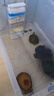 萬源鴻收納箱透明收納盒大號加厚密封箱塑料箱衣物整理箱學(xué)生宿舍儲物箱 【85L手提不密封款】透明收納箱 曬單實拍圖