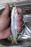 盧道盧氏太白鯽魚(yú)竿超輕超細超硬魚(yú)竿手竿臺釣竿碳素極細2819調溪流微 太白鯽19調5.7米+備用竿稍 曬單實(shí)拍圖