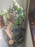 圣雅祺循環(huán)流水魚(yú)缸擺件大型假山瀑布庭院裝飾造景觀(guān)風(fēng)水輪魚(yú)池開(kāi)業(yè)招財 2286財如泉涌【118×73×138CM高 曬單實(shí)拍圖