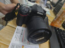 尼康/Nikon D7500 D7200  D7100 D7000 二手單反相機半畫(huà)幅中端數碼相機 D7100+18-105mm VR 準新 曬單實(shí)拍圖