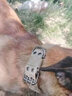 DidogPet狗項圈大型犬狗脖圈中型犬訓練戶(hù)外猛犬寵物項圈彈力繩狗繩牽引繩 黑色項圈 XL-建議體重65-100斤 曬單實(shí)拍圖