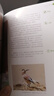 正版全3冊中國鳥類圖鑒系列集合（猛禽版＋鸻鷸版＋鴉科）套裝中國鳥類野外觀察手冊 巫嘉偉著 中國鳥類觀察手冊鳥類圖鑒百科全書 鳥類行為動物科普圖鑒 珍惜森林草原形態(tài)觀鳥愛好者海峽書局出 曬單實拍圖
