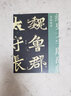 經(jīng)典大字版碑帖·張猛龍碑 曬單實(shí)拍圖