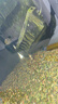 森森魚(yú)缸變頻加熱棒適用300-400L水族箱加熱器離水斷電ARK-800J款800W 曬單實(shí)拍圖
