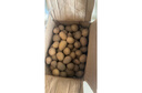 牛愛鮮 黃心土豆新鮮洋芋馬鈴薯黃皮應季蔬菜整箱優(yōu)質土豆現(xiàn)摘美味蔬菜 10斤精選裝【現(xiàn)挖現(xiàn)發(fā)】凈重9斤 農家現(xiàn)挖蔬菜 曬單實拍圖