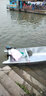 速瀾Solar 速瀾 電動(dòng)推進(jìn)器船外機螺旋槳船用12v大功率釣魚(yú)船發(fā)動(dòng)機小 24V88磅(推2500斤)-不含電瓶 曬單實(shí)拍圖