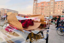 若萸重陽(yáng)節七夕情人節花束禮物生日520單支花束包裝袋鮮花花包花紙 裸色【14*40cm】20張/包 曬單實(shí)拍圖