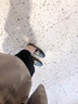 XMXE品牌樂福鞋女2024夏季新款英倫風(fēng)小皮鞋女百搭中跟方頭粗跟單鞋 黑色(2.5CM) 34 曬單實(shí)拍圖