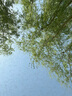 JUNESTAR 80D 200D 600D 800D 200DII硅膠套相機(jī)包保護(hù)套攝影包防震防摔 佳能200D 200DII黑色硅膠套+鋼化膜 曬單實(shí)拍圖