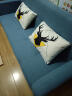 卓芝 布艺沙发床客厅卧室组合家具北欧现代小户型出租房公寓折叠沙发 2号深蓝色(棉麻布) 3人位(1.7米长*宽0.95米)配2抱枕 实拍图