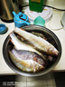 五福爆富冷凍餌料羅非凍料黑坑野釣競技休閑套餐羅飛魚料腥肝味赤尾青 5套 爆富凍料 曬單實拍圖