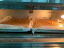 乐创（lecon）烤箱商用大容量大型电烤箱蛋糕烘焙面包红薯机地瓜机披萨大焗炉燃气烘炉 一层二盘【电脑控温】400°款 实拍图
