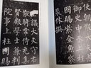 歷代法書碑帖經(jīng)典：柳公權(quán)玄秘塔碑 曬單實(shí)拍圖